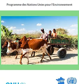 LE PETIT MANUEL DU PNUE Programme des Nations Unies pour l’Environnement