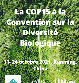 La COP15 à la Convention sur la Diversité Biologique