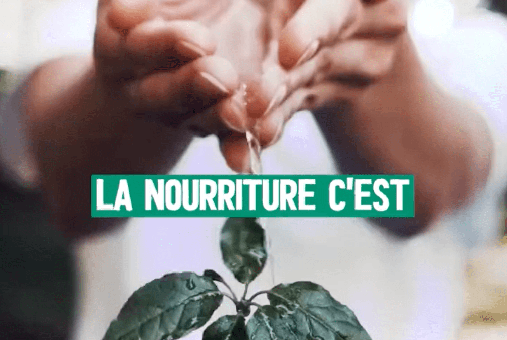 Revue de presse ONU / 17 octobre 2022