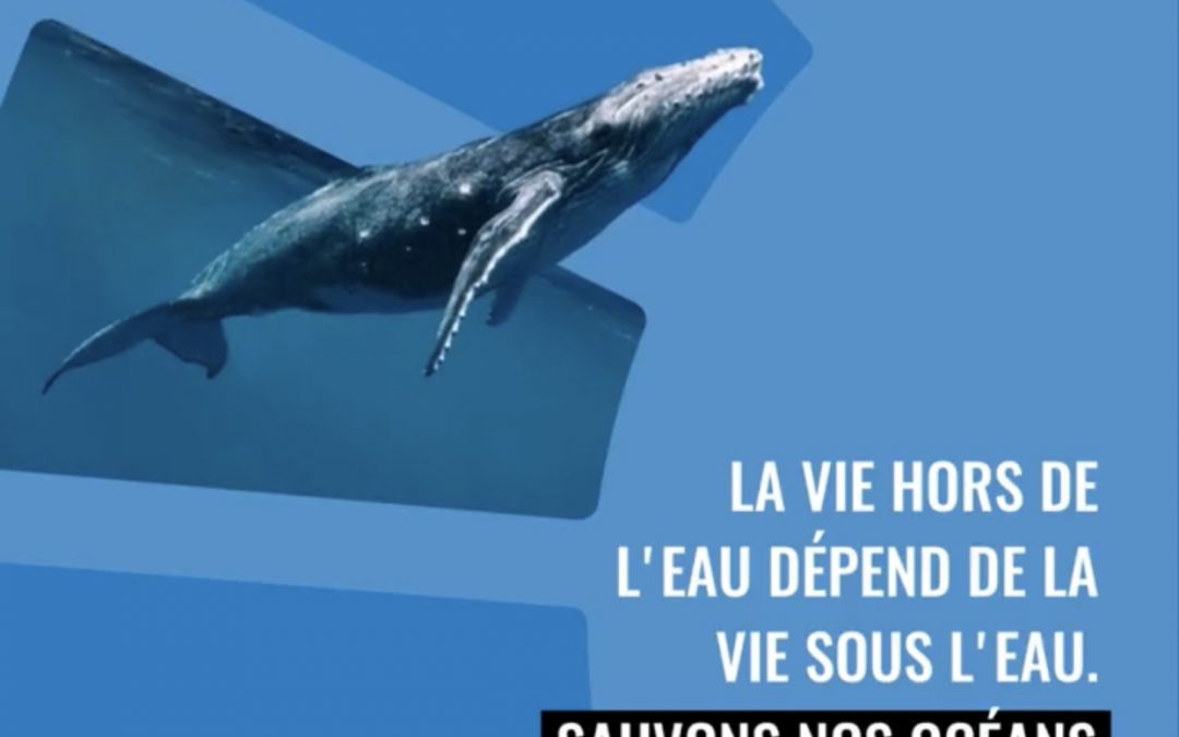 Revue de presse ONU / 10 juillet 2023