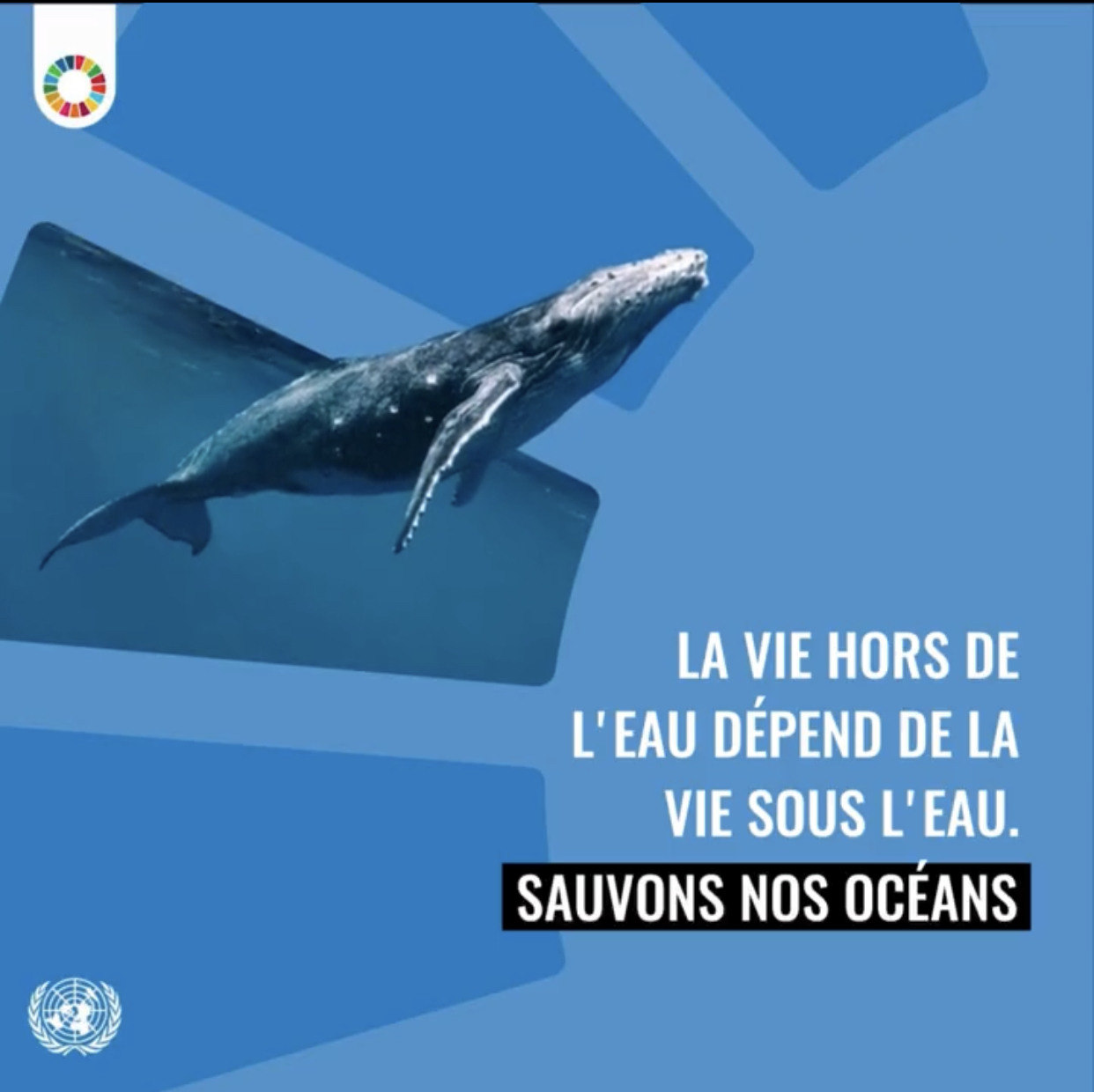 Revue de presse ONU / 10 juillet 2023