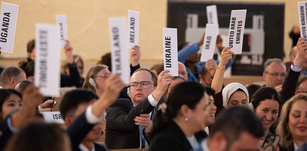 Revue de presse / 26 mai 2025