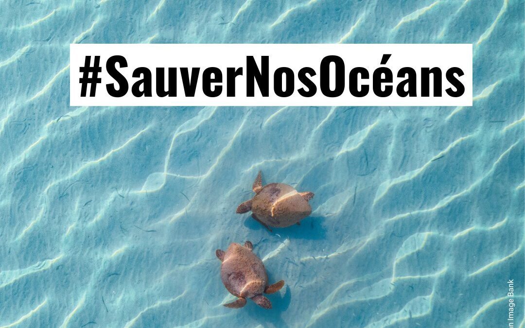 Revue de presse ONU / 9 juin 2025