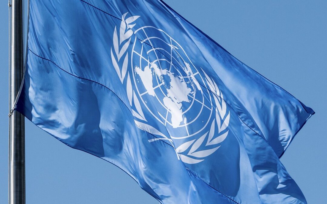 Revue de presse / 15 juillet 2025