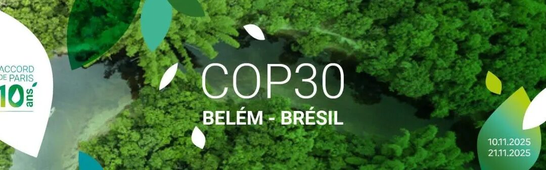 Revue de presse / 17 novembre 2025