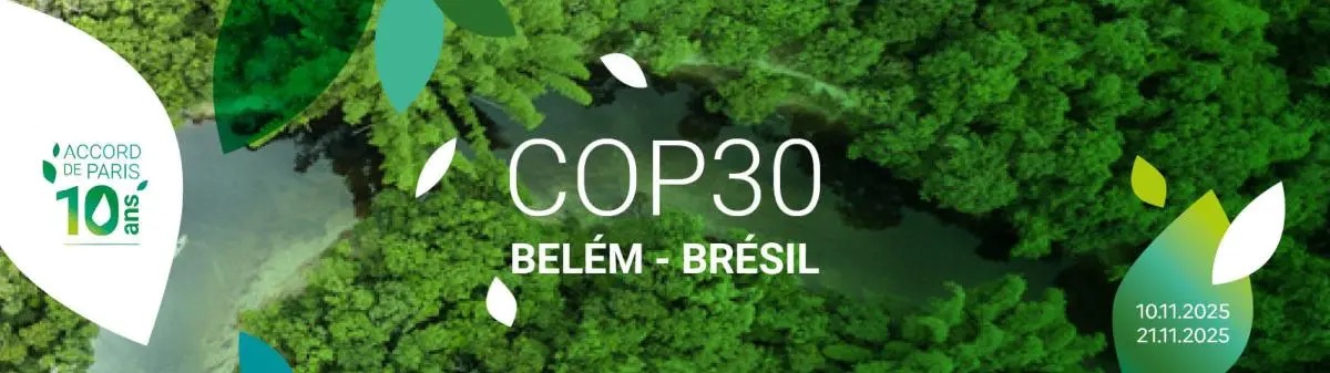 Revue de presse / 17 novembre 2025