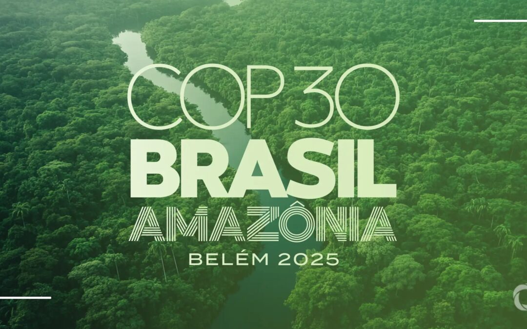 Revue de presse / 10 novembre 2025