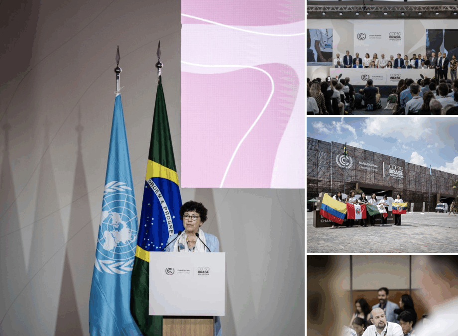 Revue de presse / 24 novembre 2025