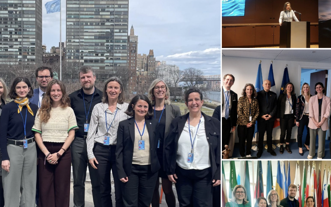 Revue de presse / 13 avril 2026