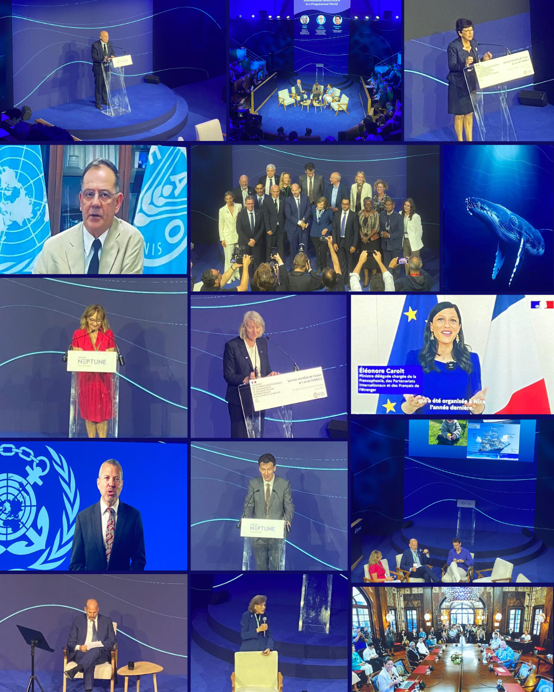 Revue de presse / 15 juin 2026